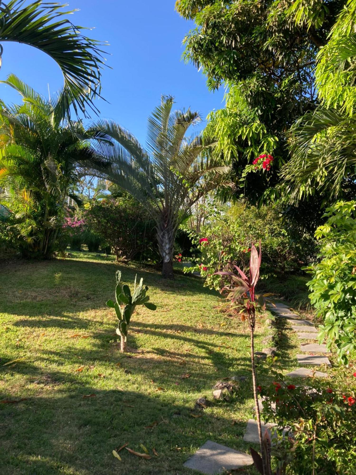 Bed and Breakfast La Maracuya Panama Плайя-Коронадо Экстерьер фото
