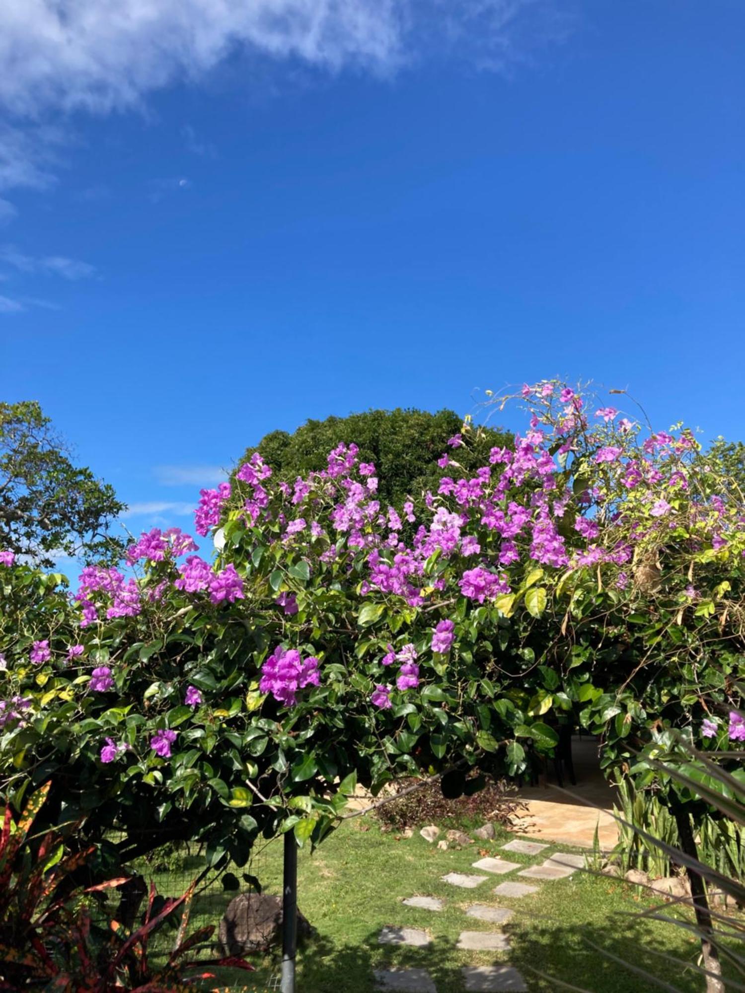 Bed and Breakfast La Maracuya Panama Плайя-Коронадо Экстерьер фото