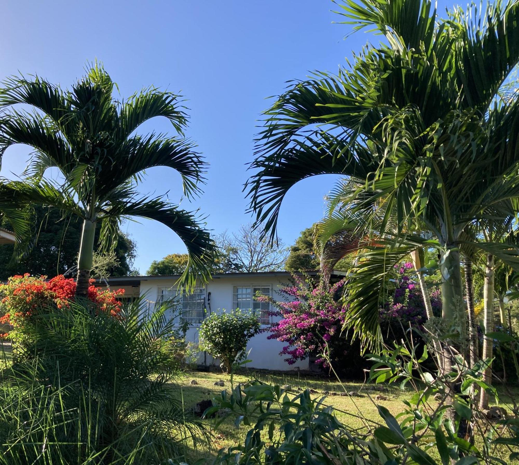 Bed and Breakfast La Maracuya Panama Плайя-Коронадо Экстерьер фото