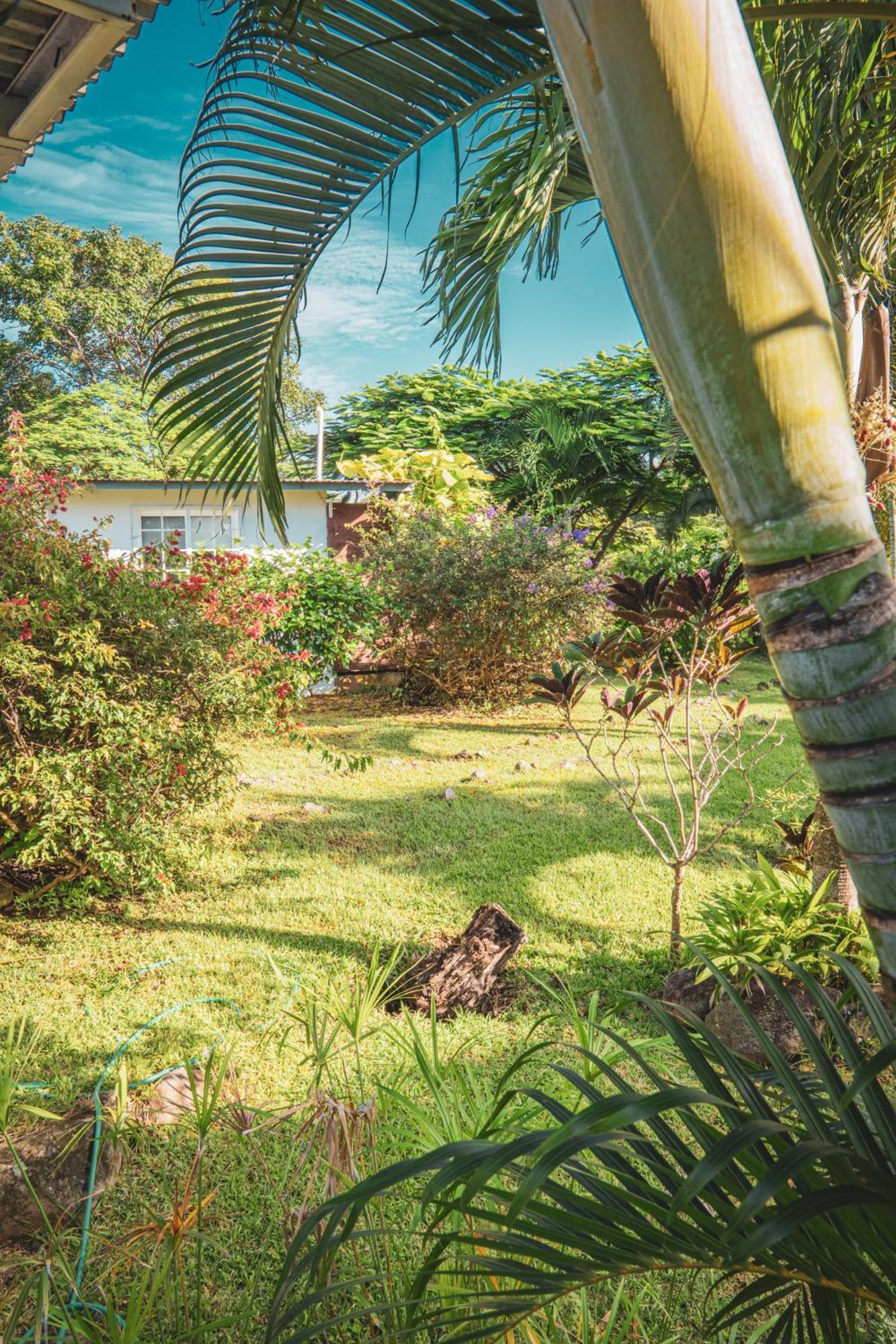 Bed and Breakfast La Maracuya Panama Плайя-Коронадо Экстерьер фото